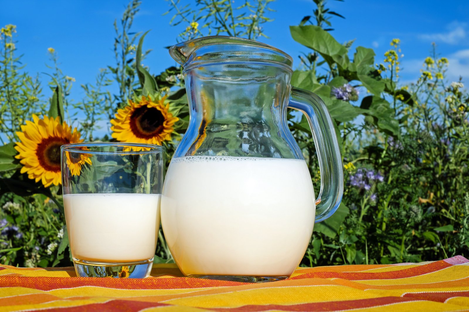 Fresh Cow Milk