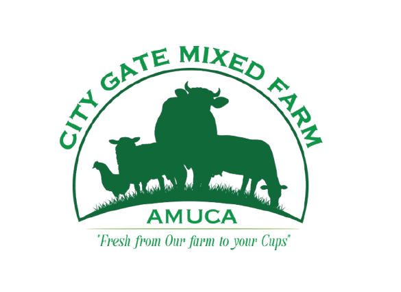 City Gate Mixed Farm